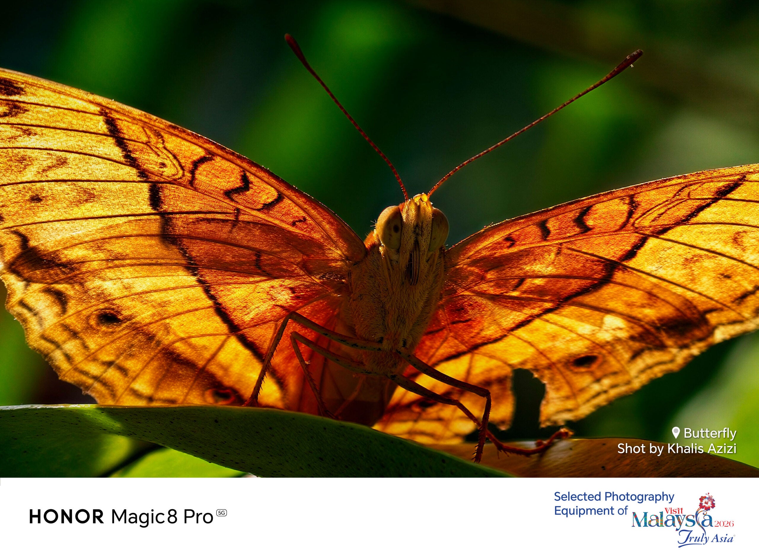 Social Template for Magic8Pro Beta Photographer copy 4 02 scaled