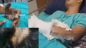 WhatsApp Image 2025 11 04 at 22