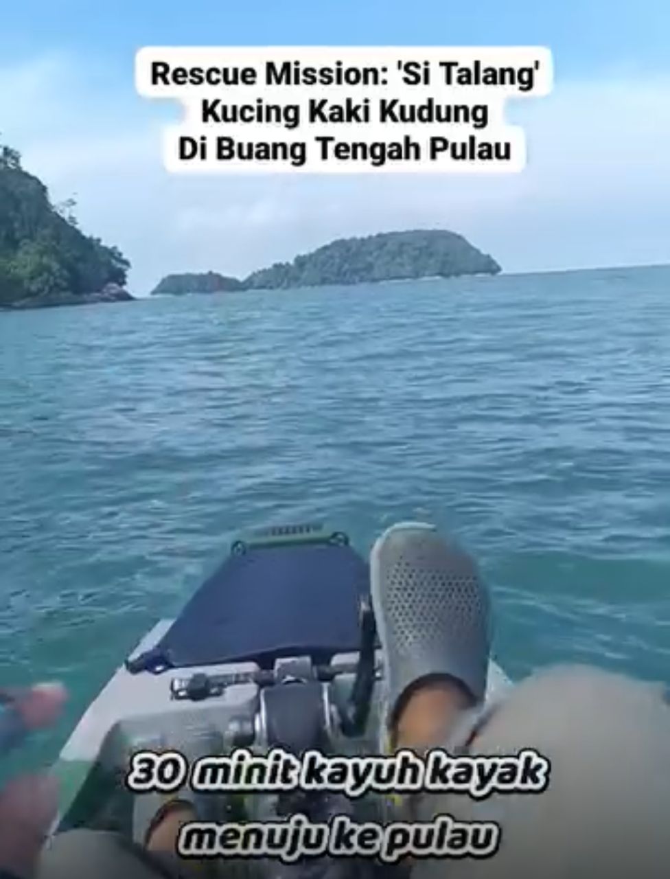 c8a680f1 2fac 44f1 b4fa 708b97d6e91b