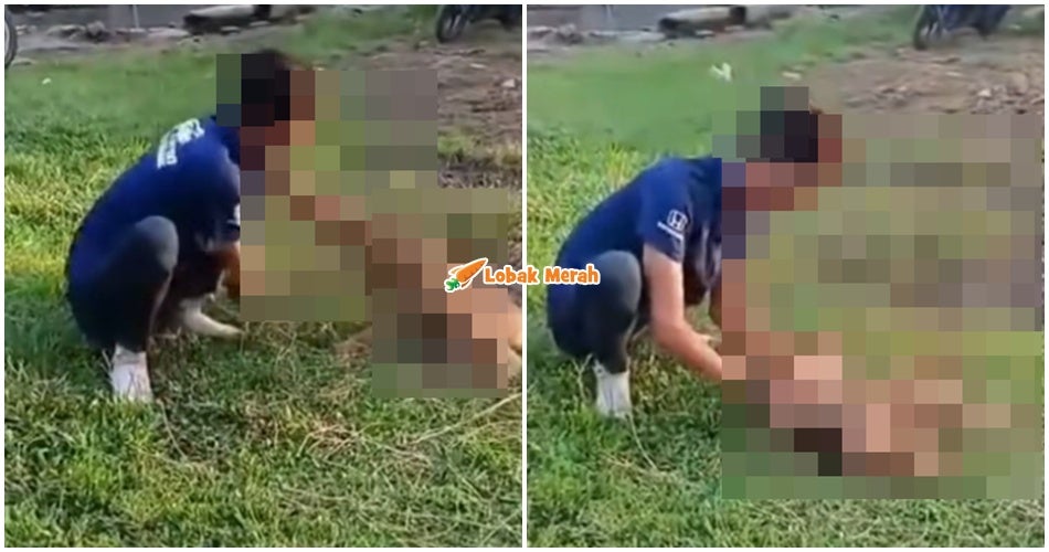 Tular Video Pemuda S*ksa Beruk Di Kelantan, Badan NGO Gesa PERHILITAN Ambil Tindakan