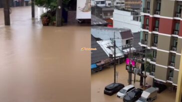 rakyat malaysia terkandas banjir di hatyai