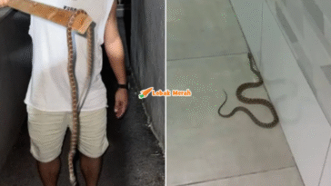 syaz ft 2025 11 10T132742.215