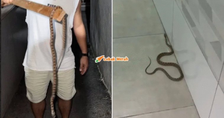 syaz ft 2025 11 10T132742.215