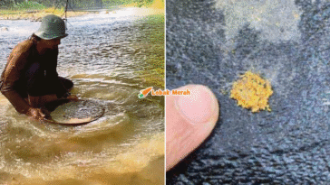 syaz ft 2025 11 19T122502.113