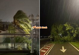 syaz ft 2025 11 28T112701.373