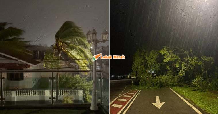 syaz ft 2025 11 28T112701.373