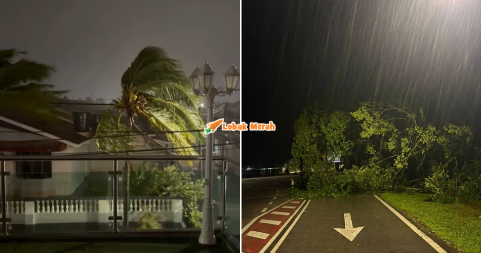 Banyak Pokok Tumbang, Ombak Tinggi, Ribut Senyar ‘Serang’ Port Dickson