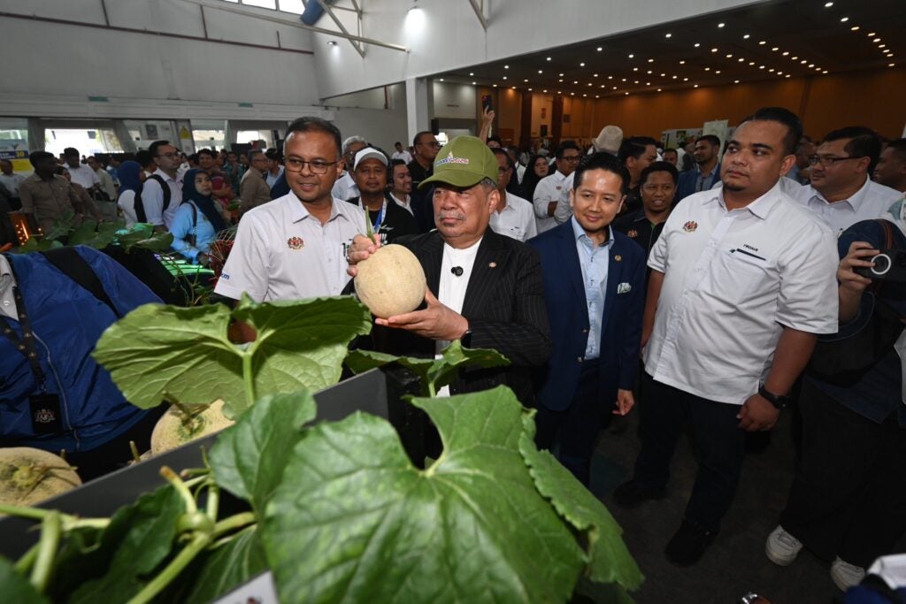 592955573 1153063887003787 2324487454154846199 n