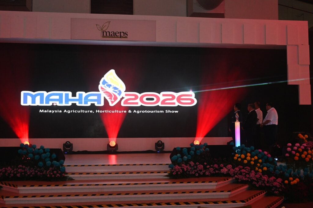 592957720 1153063880337121 4744367289459356823 n