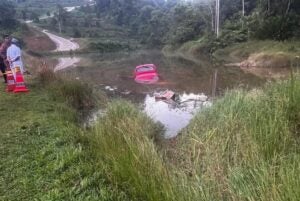 594171758 1356093569892078 74959