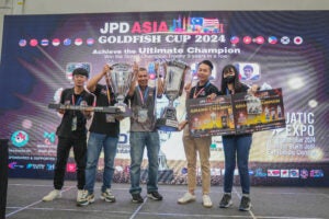 AE2024 GoldfishPrize 87