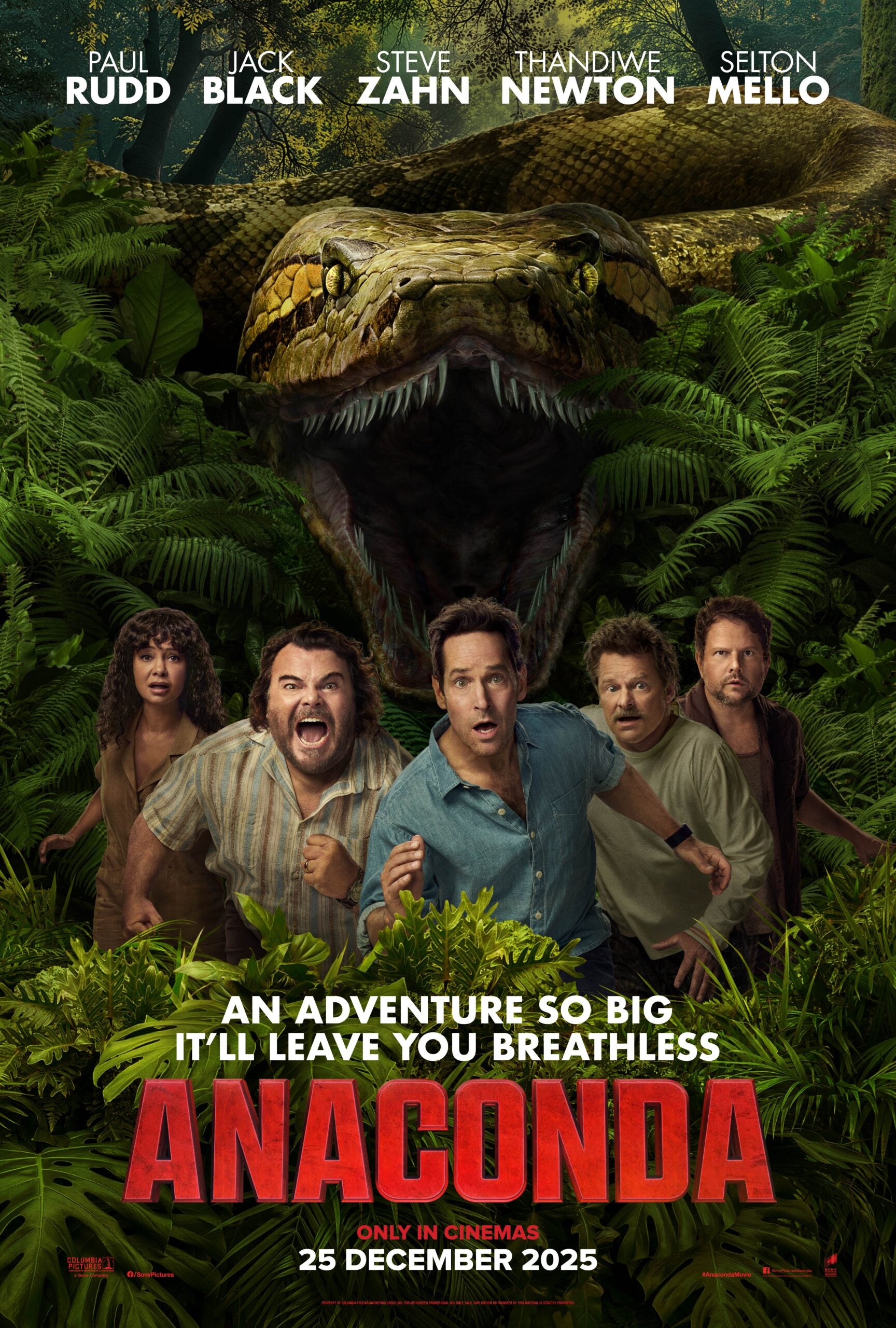 ANA INTL 1SHT TSR scaled