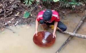 BHkuasadulang BHfield image list