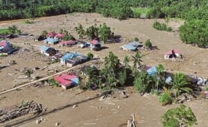 HM210125sen 1764646220