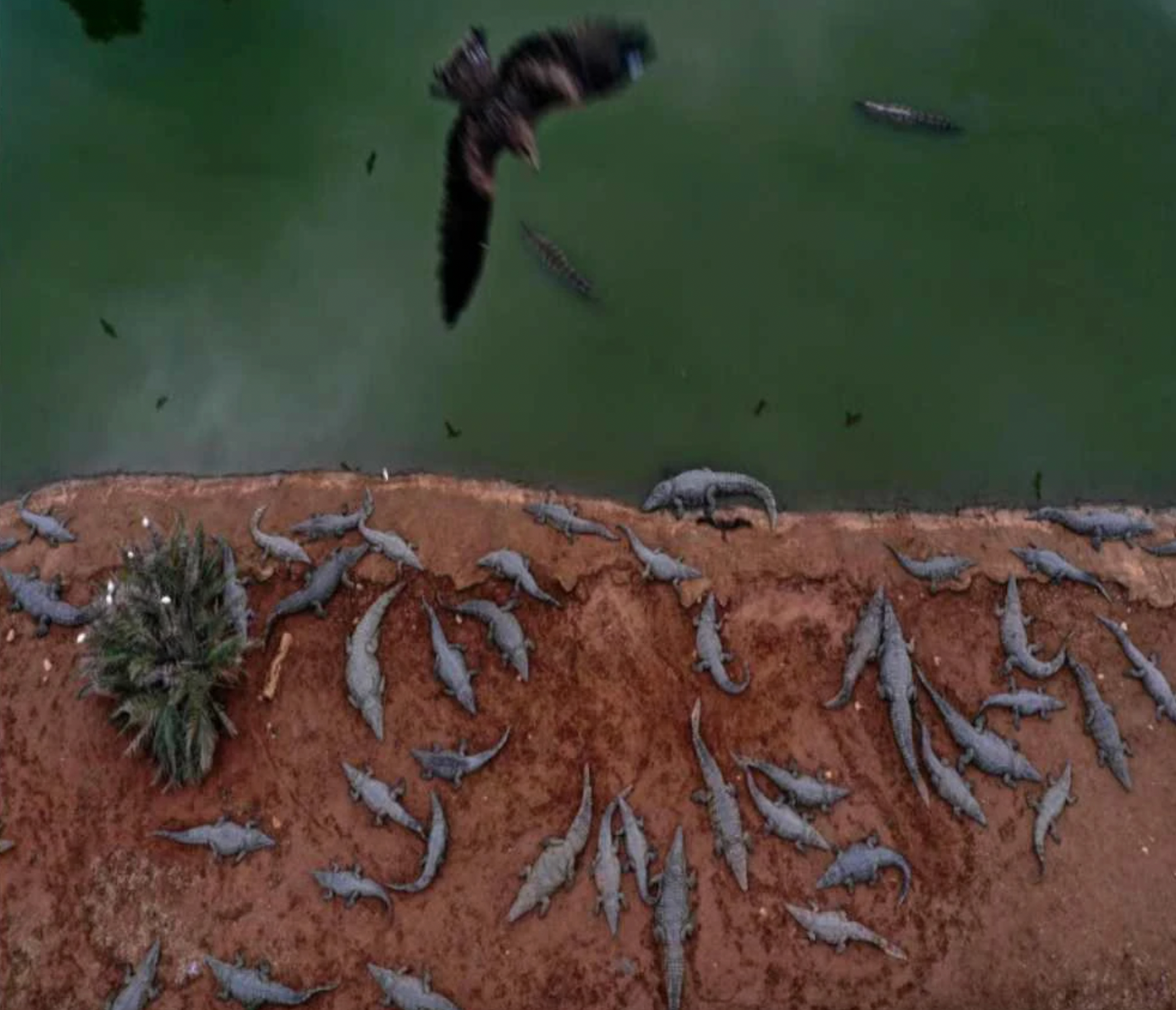 Screenshot 2025 12 07 at 1.11.49 PM