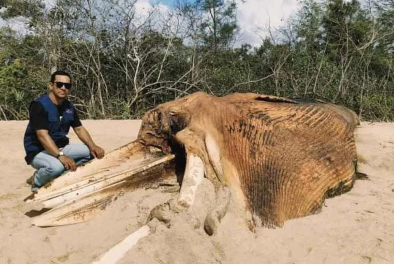 Screenshot 2025 12 07 at 10.09.27 AM