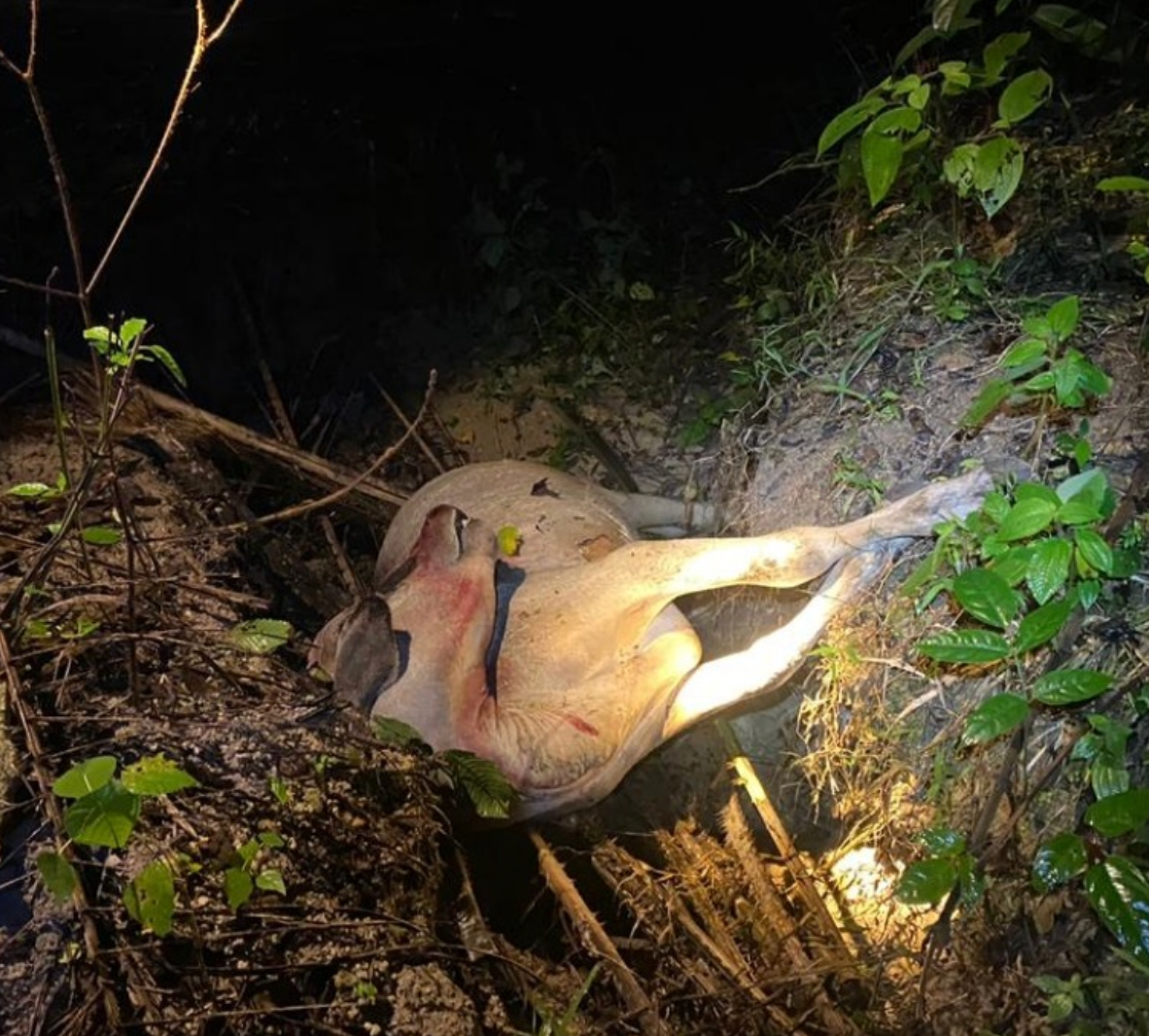 Screenshot 2025 12 07 at 11.08.05 AM