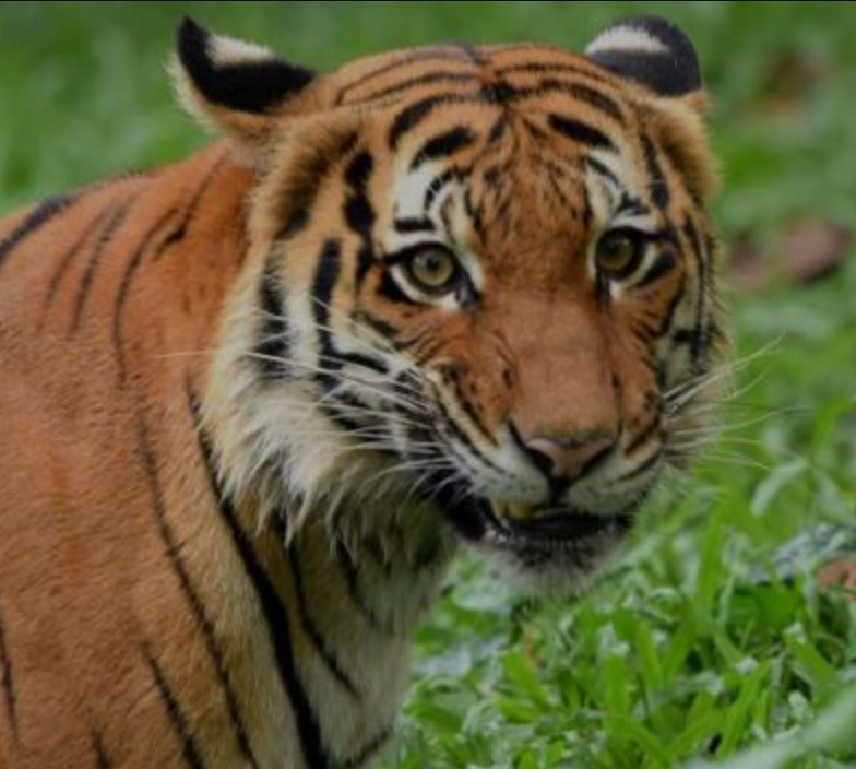 Screenshot 2025 12 07 at 11.09.12 AM