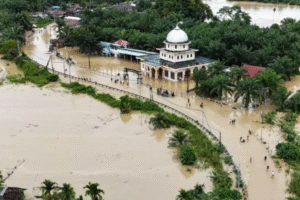 Screenshot 2025 12 16 165324