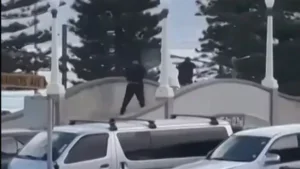 father and son bondi