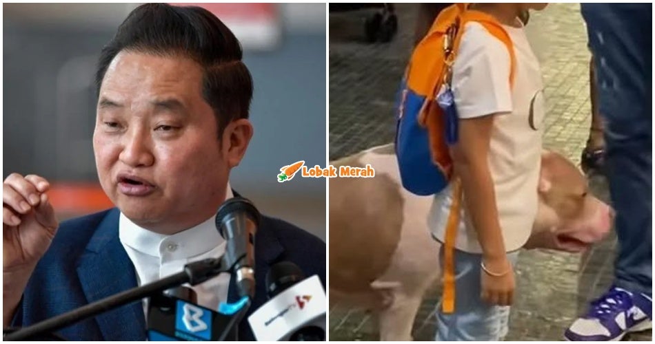 Selangor Masih Kekalkan Larangan Bawa Haiwan Peliharaan Ke Pusat Beli Belah