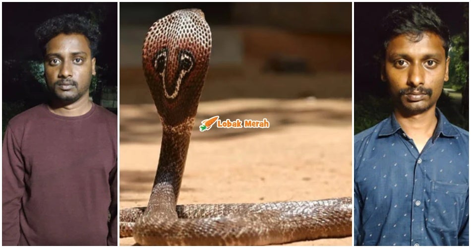 Anak Guna Ular ‘Russell Viper’ Untuk B*nuh Bapa Demi Pampasan Insurans Jutaan Ringgit