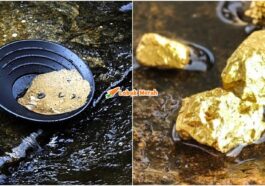 mendulang emas kelantan syarat