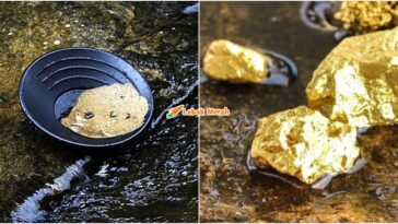 mendulang emas kelantan syarat