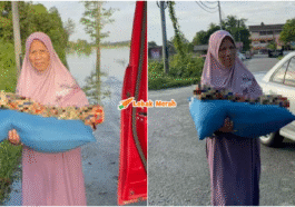 nenek pangku jenazah cucu