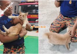 oyen sesat ke balai bomba sekinchan