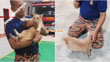 oyen sesat ke balai bomba sekinchan