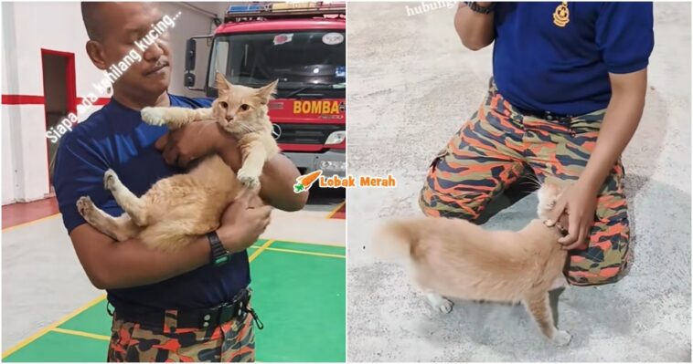 oyen sesat ke balai bomba sekinchan