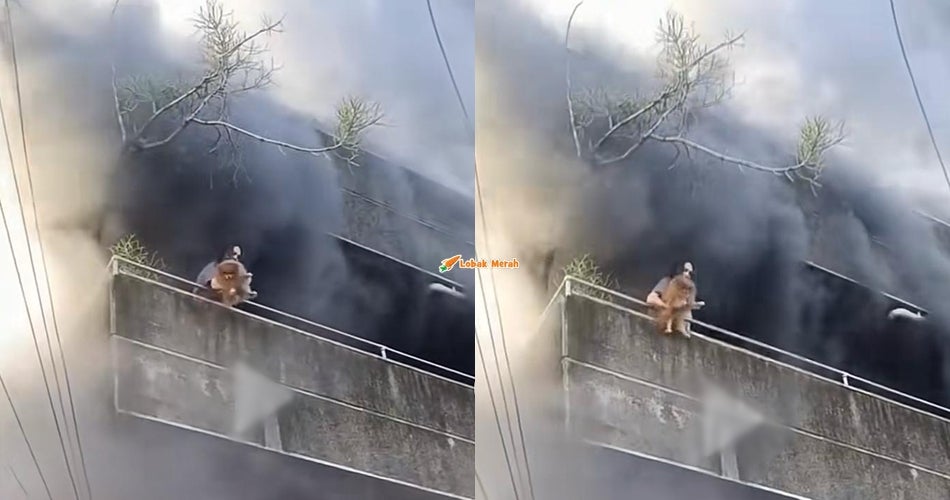 “Hero yang sebenar”- Wanita Selamatkan 2 Anjing Terlebih Dahulu Sebelum Diri Sendiri Ketika Kebakaran Dipuji Ramai