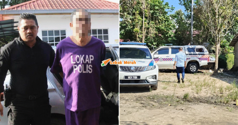 syaz ft 2025 12 02T111403.220