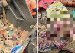 Syaz Ft 2025 12 12T124027.094