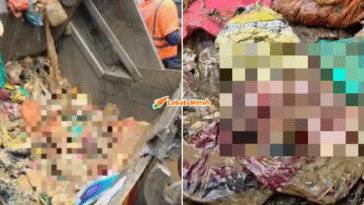 syaz ft 2025 12 12T124027.094