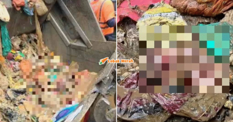 syaz ft 2025 12 12T124027.094