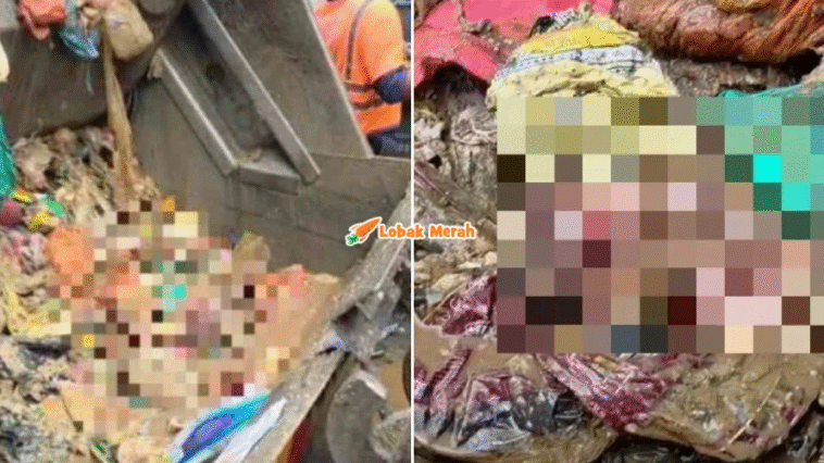 syaz ft 2025 12 12T124027.094