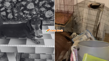 syaz ft 2025 12 17T153948.256