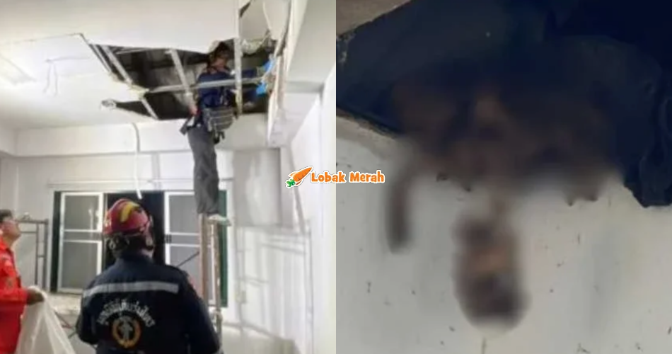 Pekerja Ubah Suai Rumah Terkejut Tengkorak Manusia Jatuh Dari Siling