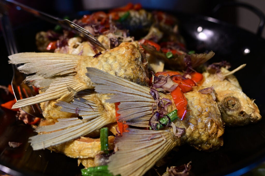 44Cda043 6A98 4911 Acfc A173911Ad90D