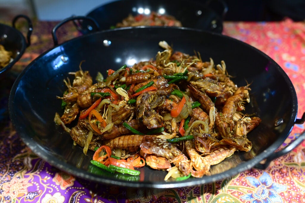 9E157755 Bf70 4C73 8F08 9B4Bb74Dac1D