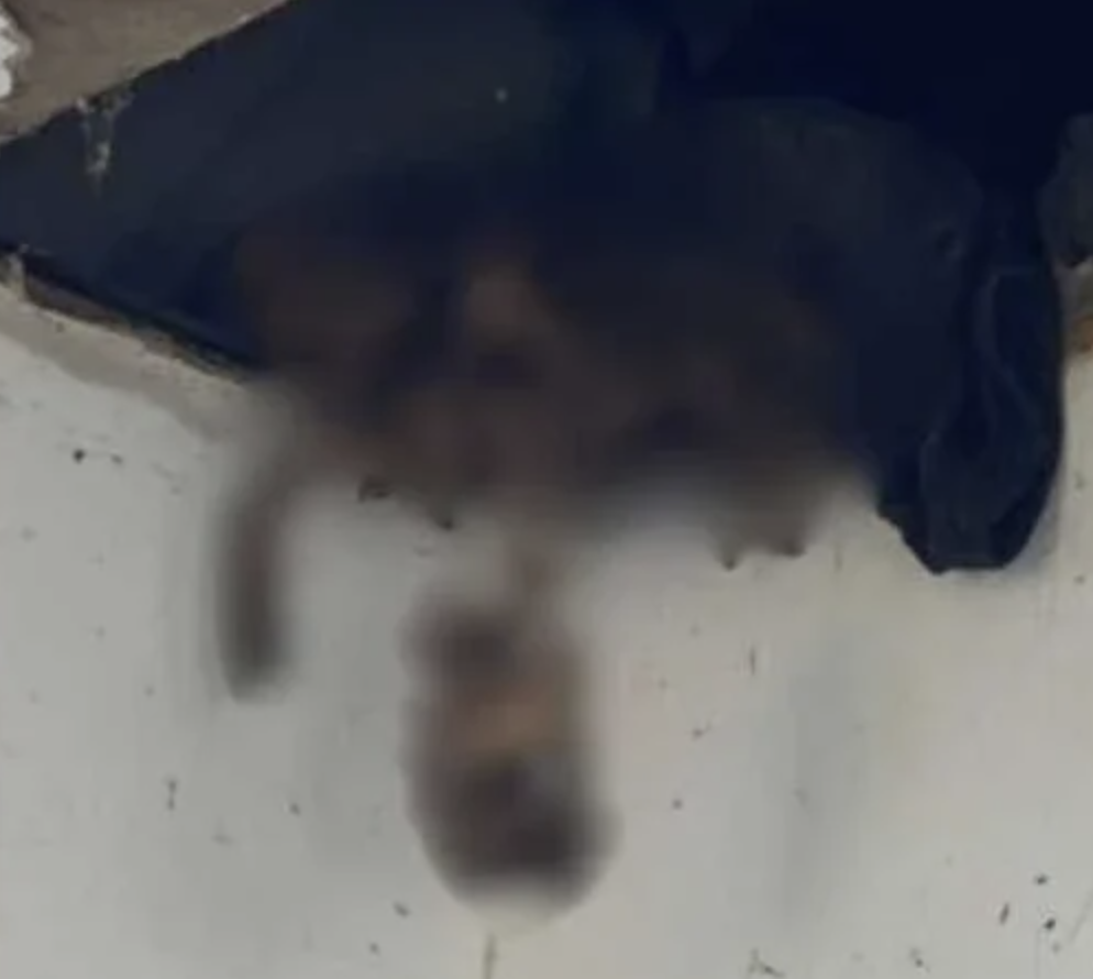 Screenshot 2026 01 10 at 11.41.40 AM