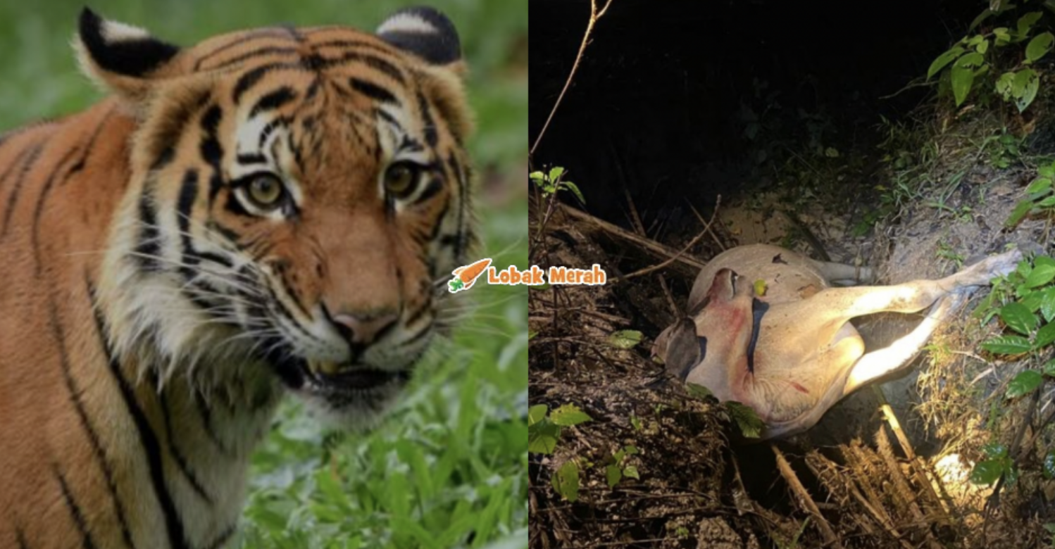 Screenshot 2026 01 11 at 12.33.08 PM