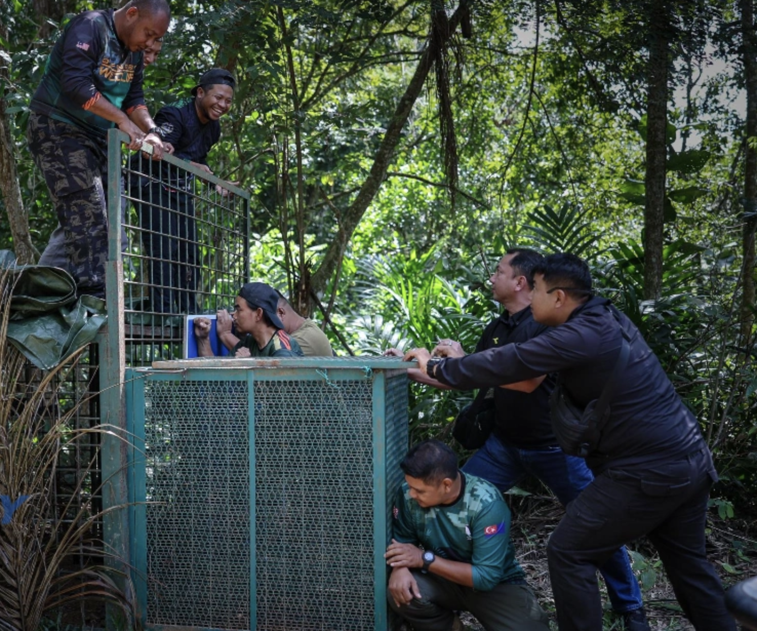 Screenshot 2026 01 11 at 12.34.06 PM