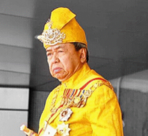 Sultan Selangor