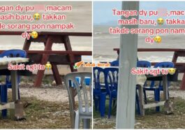 ft kucing tangan putus