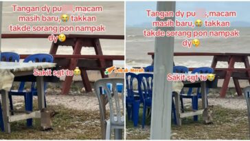 ft kucing tangan putus