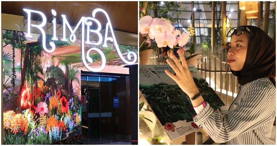 rimba 1