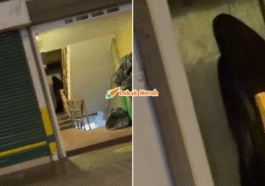 Syaz Ft 2026 01 27T171956.831